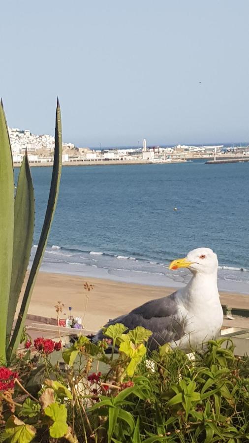 Appartement 2 Chbres Bord De Mer Avec Option Piscine Ete Avec Wifi Sur Corniche De Tanger Luaran gambar